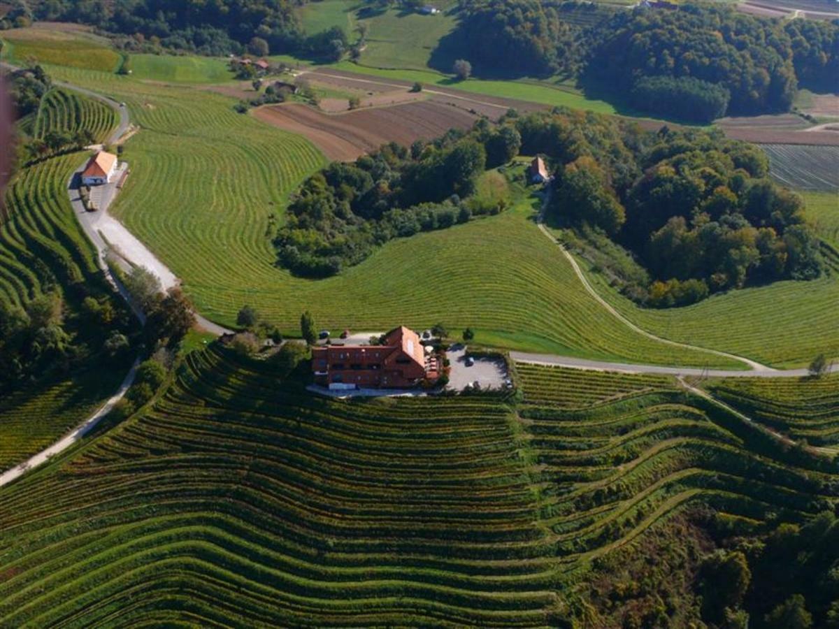 Taverna & Wine Jeruzalem Ivanjkovci Dış mekan fotoğraf