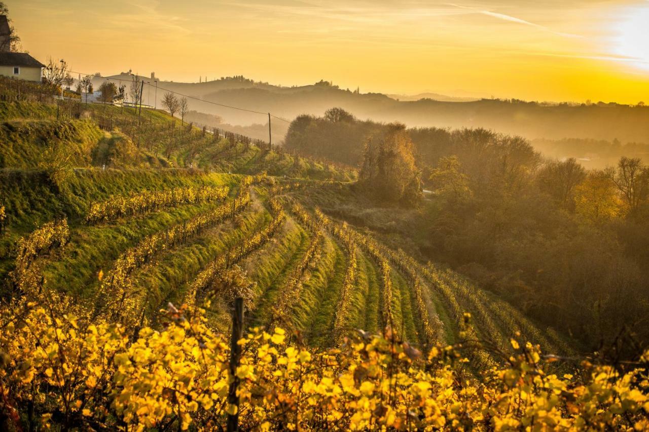 Taverna & Wine Jeruzalem Ivanjkovci Dış mekan fotoğraf