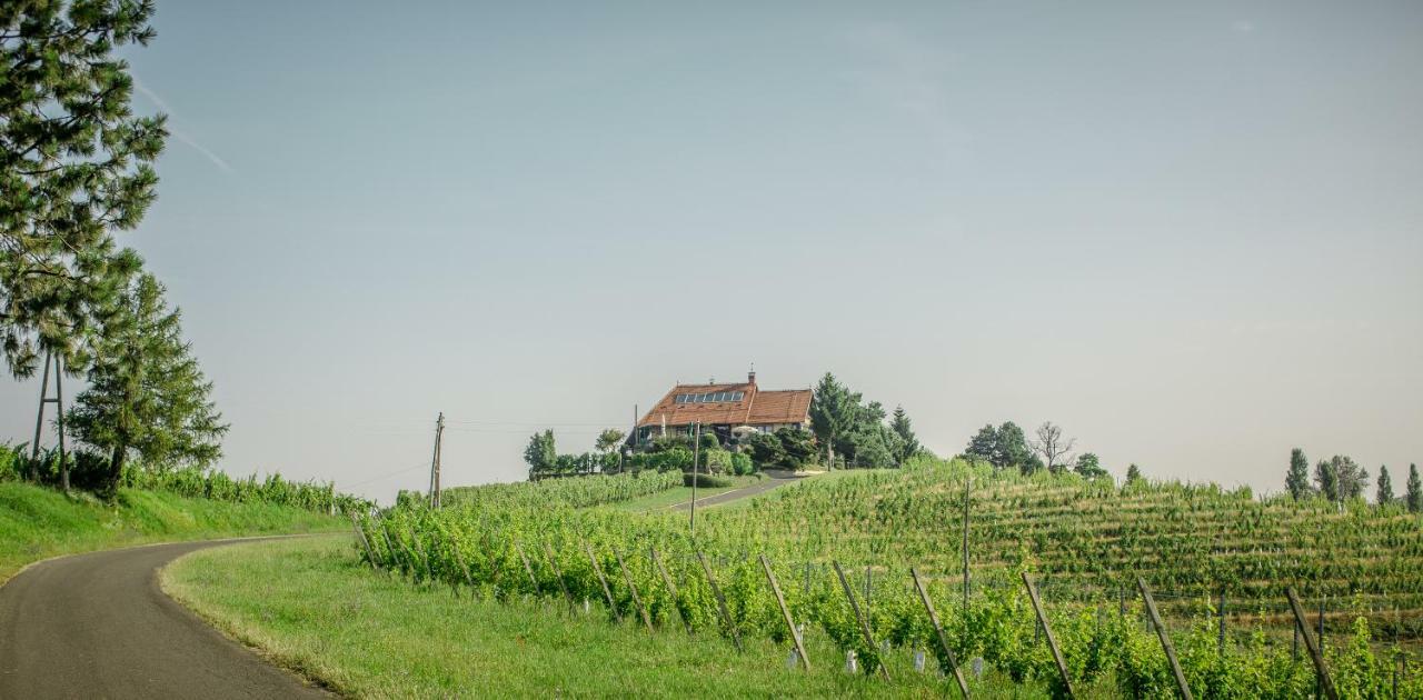 Taverna & Wine Jeruzalem Ivanjkovci Dış mekan fotoğraf